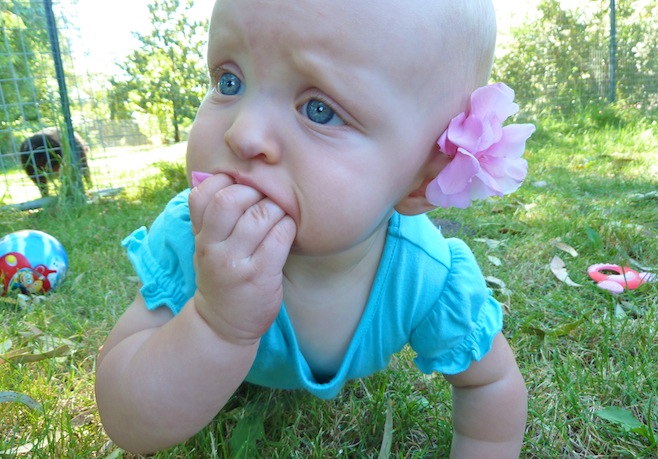 Eating Flowers